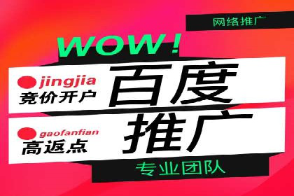 百度SEO优化公司案例：打造品牌网络曝光新高度