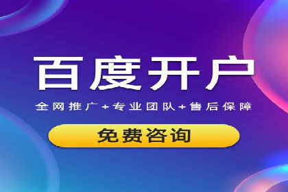 SEM广告案例：数据分析驱动营销决策