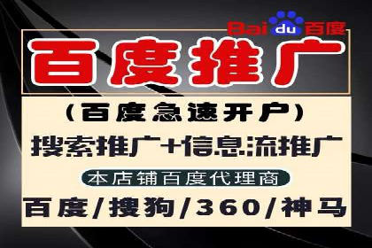 某品牌抖音信息流广告的投放过程与效果评估